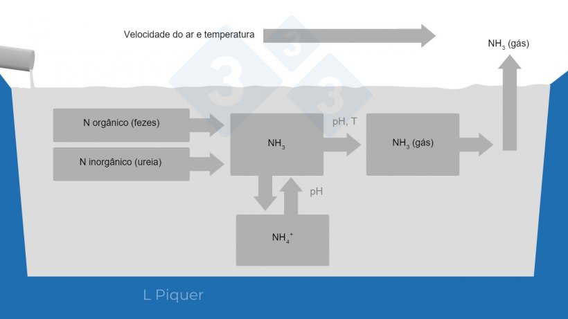 Gráfico 2. Ciclo de formação de amoníaco (NH3) durante o armazenamento do chorume.